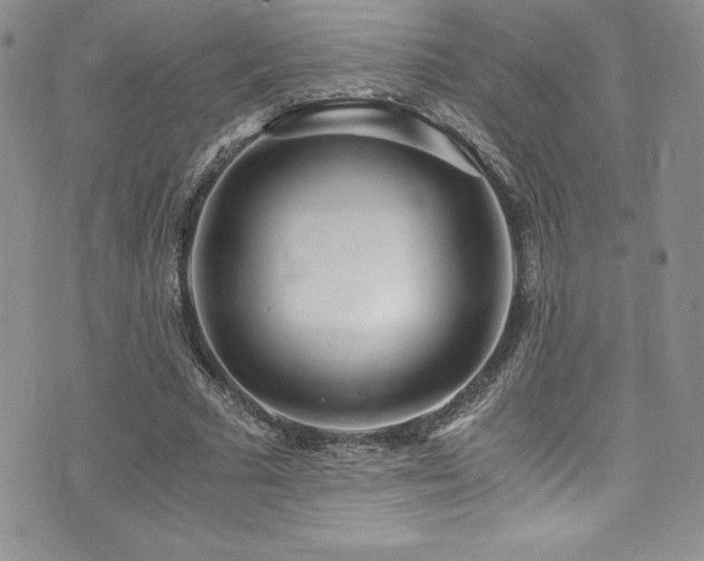 X0000073860681200608101251