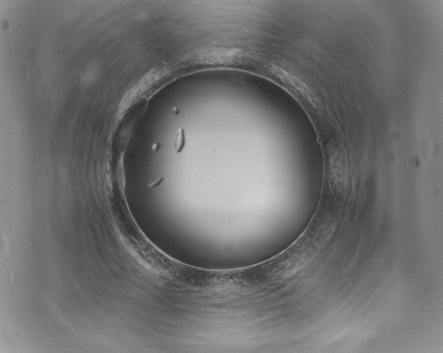 X0000073860682200608101251