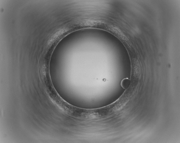 X0000073860683200608101251