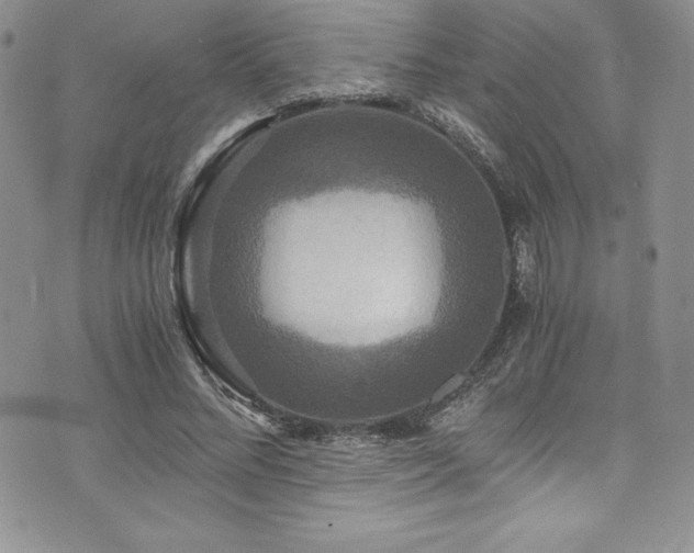 X0000073860684200608101251