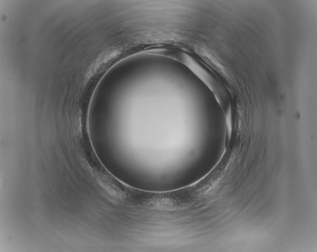 X0000073860685200608101251