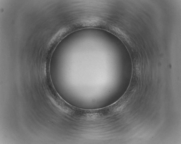 X0000073860686200608101251