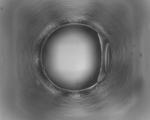 X0000073860687200608101251