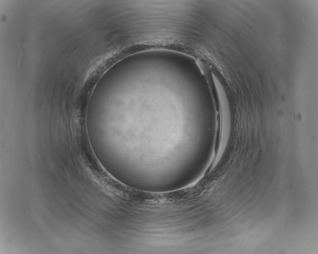 X0000073860688200608101251