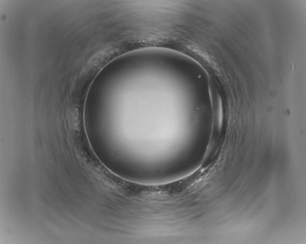 X0000073860689200608101251