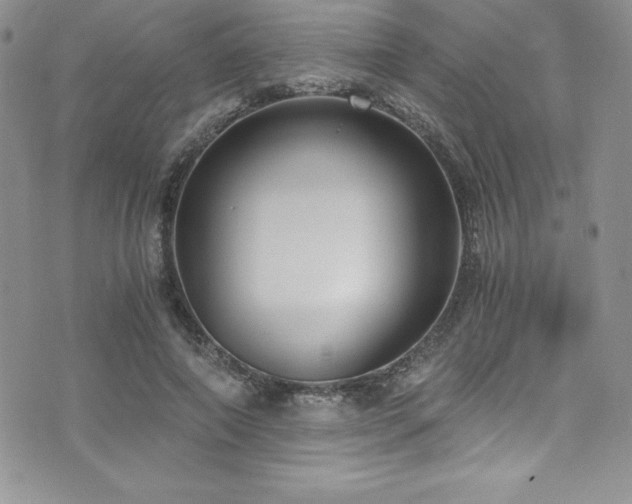 X0000073860690200608101251