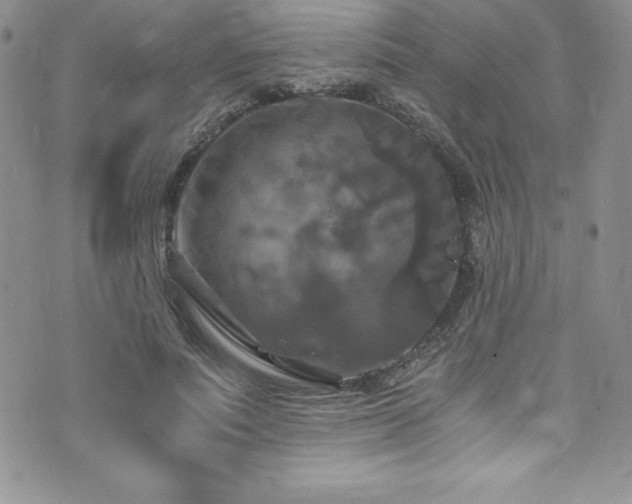 X0000073860691200608101251