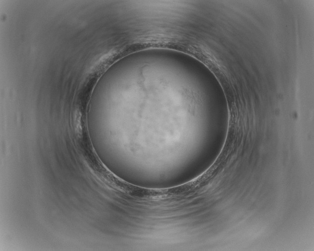 X0000073860692200608101251