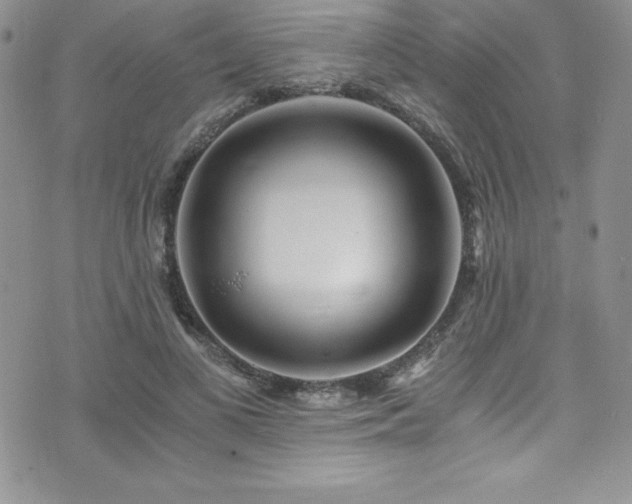 X0000073860693200608101251