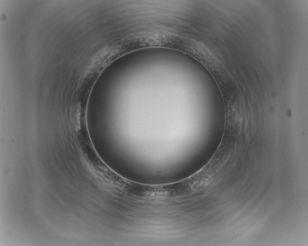 X0000073860694200608101251