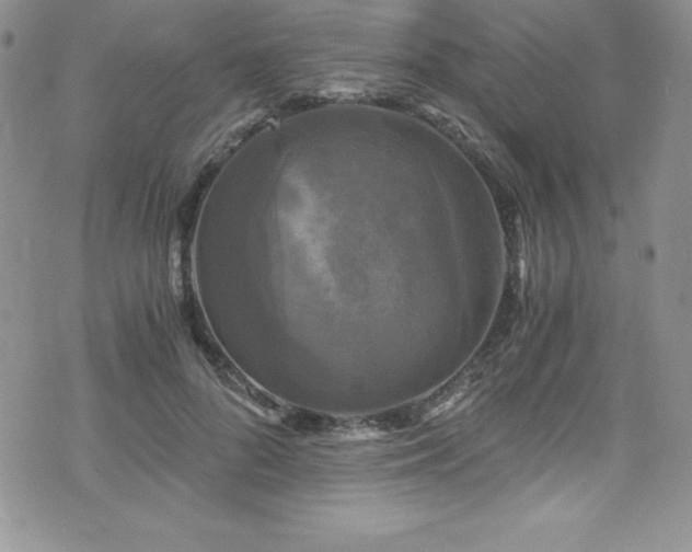 X0000073860696200608101251