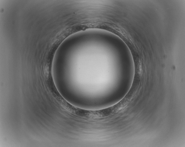 X0000073860697200608101251