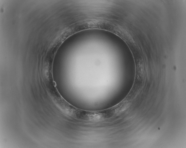 X0000073860698200608101251