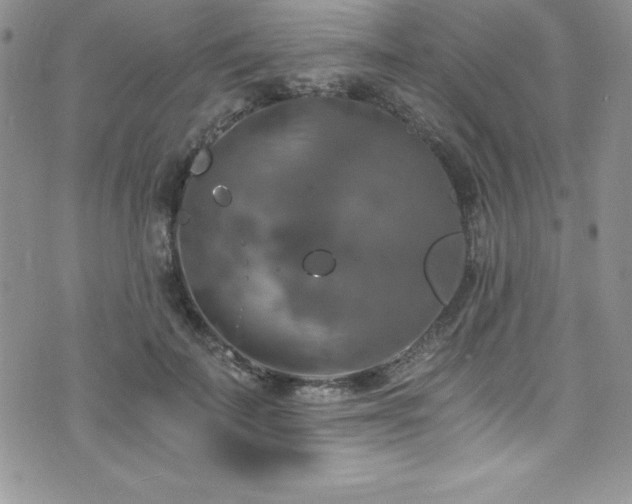 X0000073860699200608101251