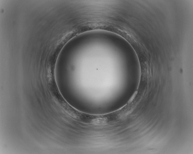 X0000073860700200608101251