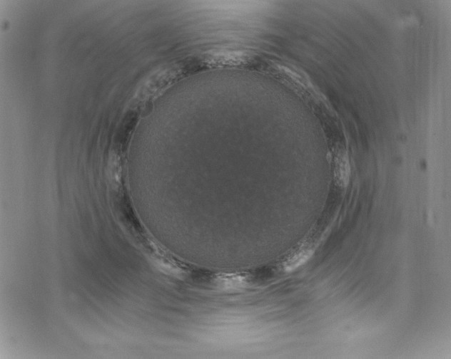 X0000073860701200608101251