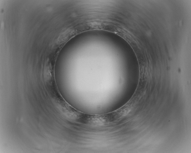 X0000073860702200608101251