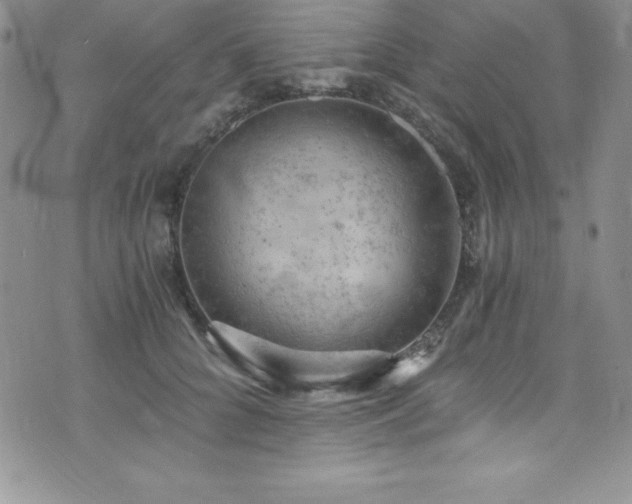 X0000073860704200608101251