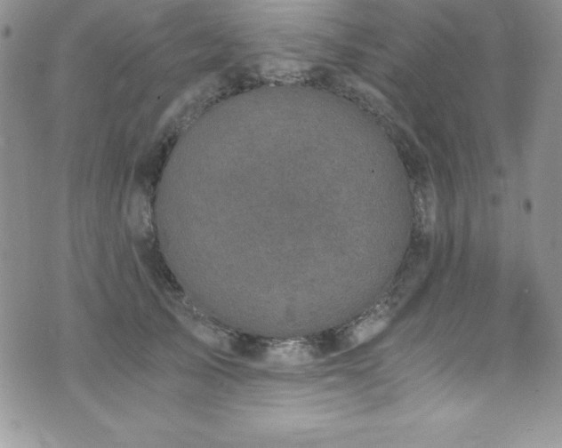 X0000073860705200608101250