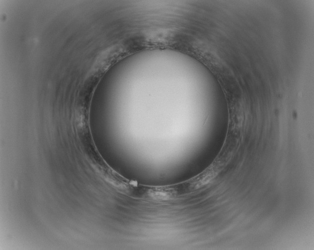 X0000073860706200608101250