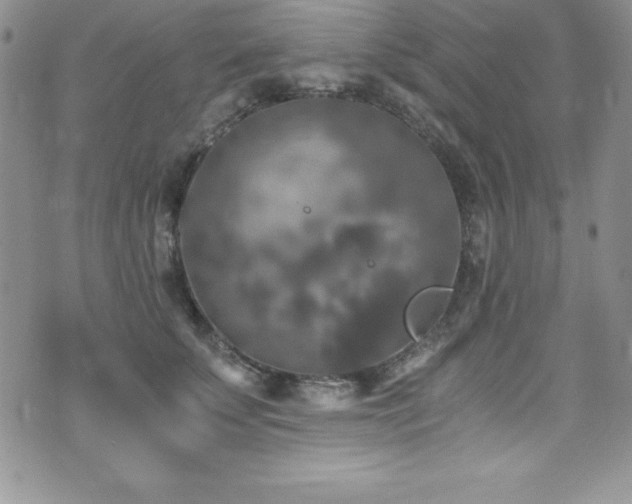 X0000073860707200608101250