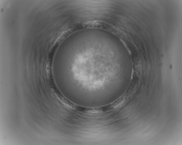 X0000073860708200608101250