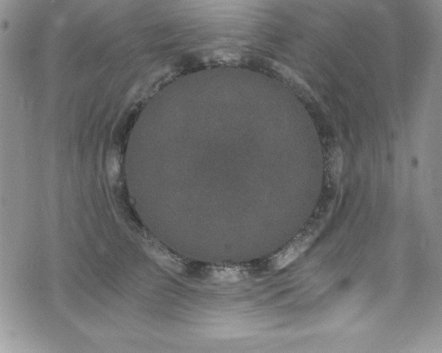 X0000073860709200608101250