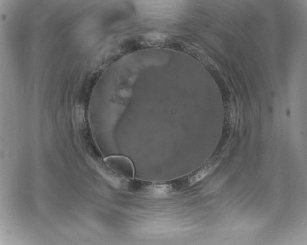 X0000073860711200608101250