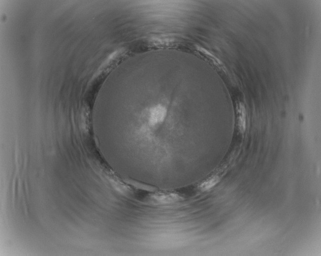 X0000073860712200608101250