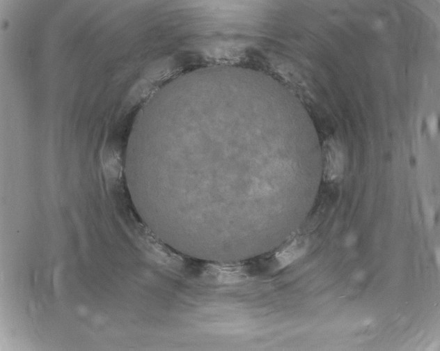 X0000073860713200608101250