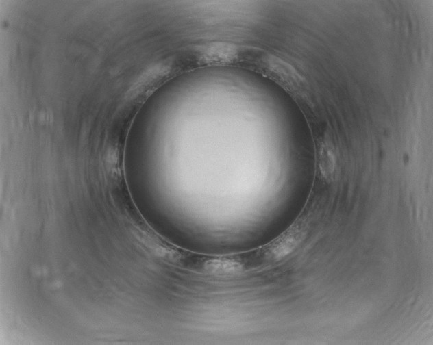 X0000073860714200608101250