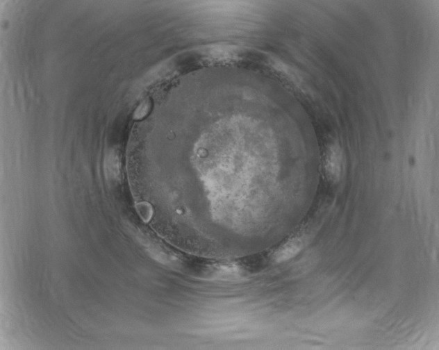 X0000073860715200608101250