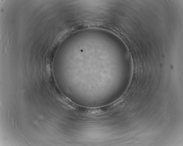 X0000073860716200608101250