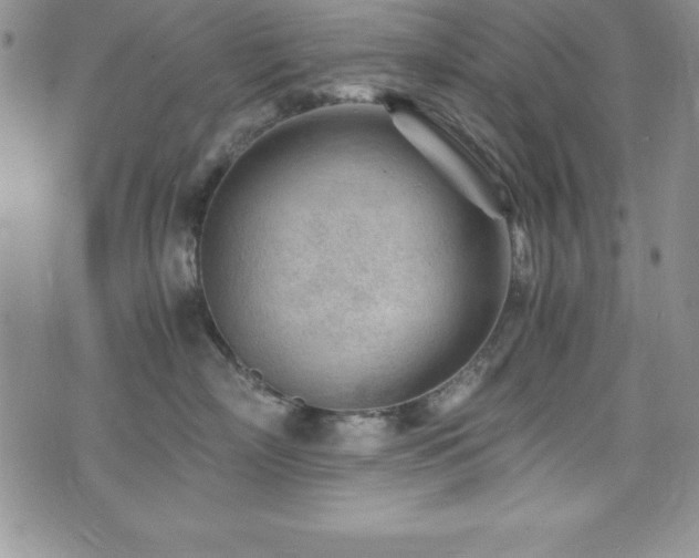 X0000073860718200608101250