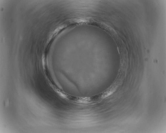 X0000073860720200608101250