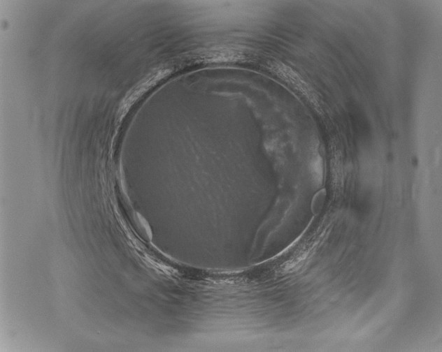 X0000073860721200608101249