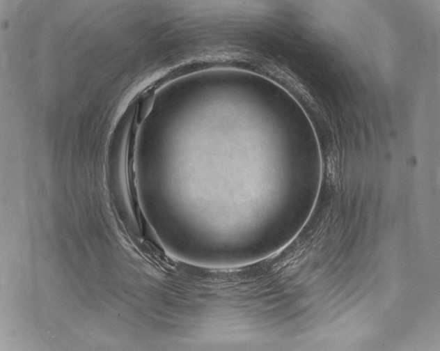 X0000073860724200608101250