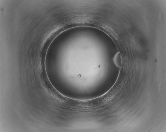 X0000073860727200608101250