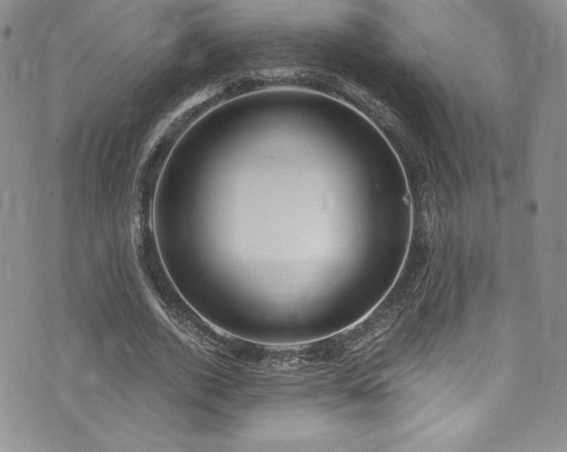 X0000073860728200608101250