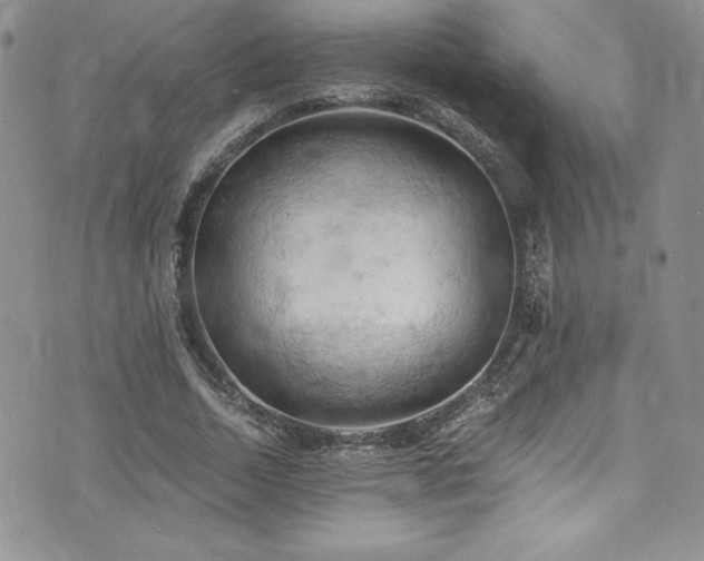 X0000073860730200608101250