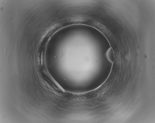 X0000073860731200608101250