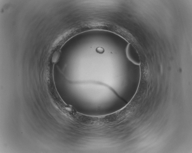 X0000073860732200608101250