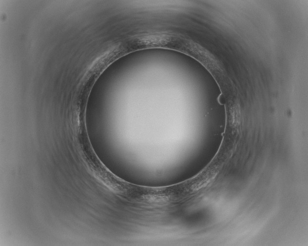 X0000073860733200608101250