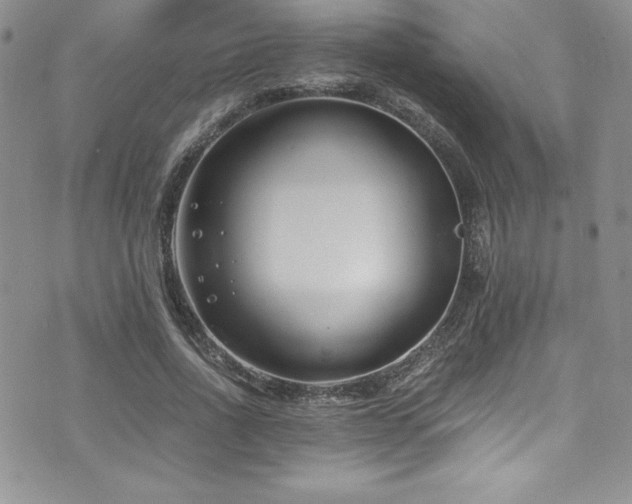 X0000073860734200608101250