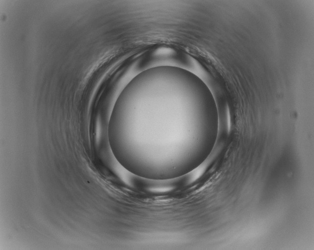 X0000073860735200608101250