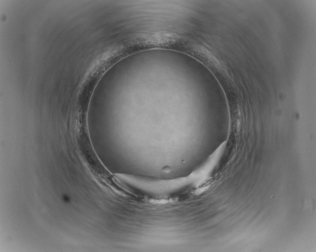 X0000073860736200608101250