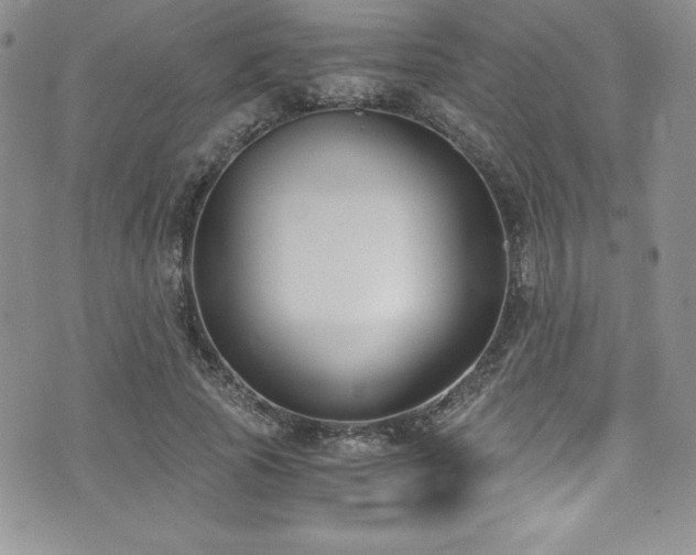 X0000073860737200608101250