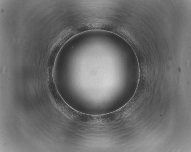 X0000073860738200608101250