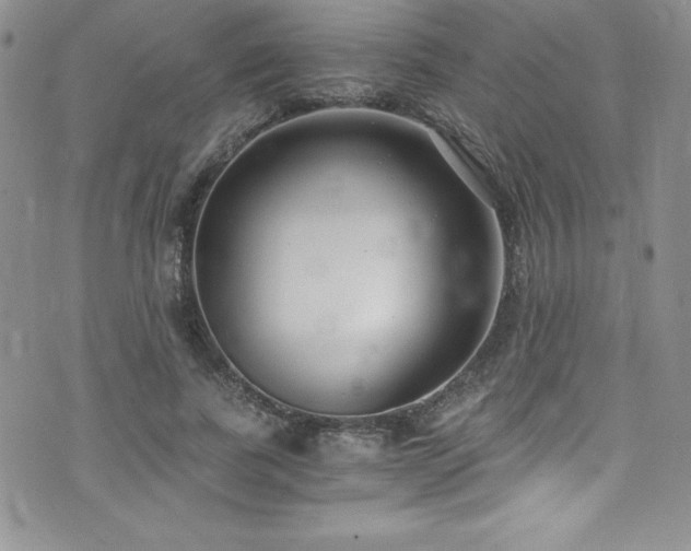 X0000073860739200608101250