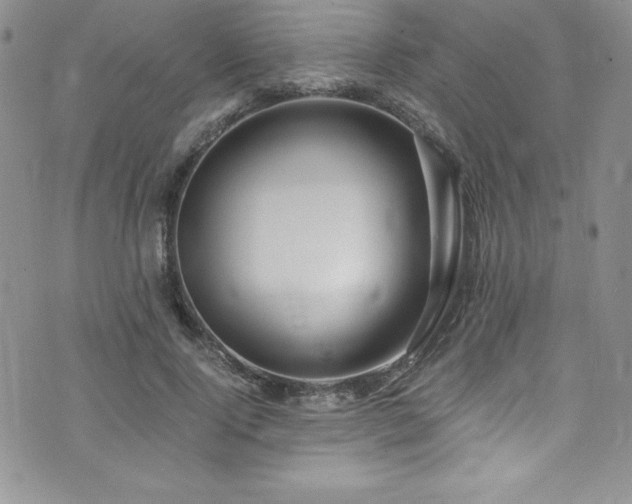 X0000073860740200608101250